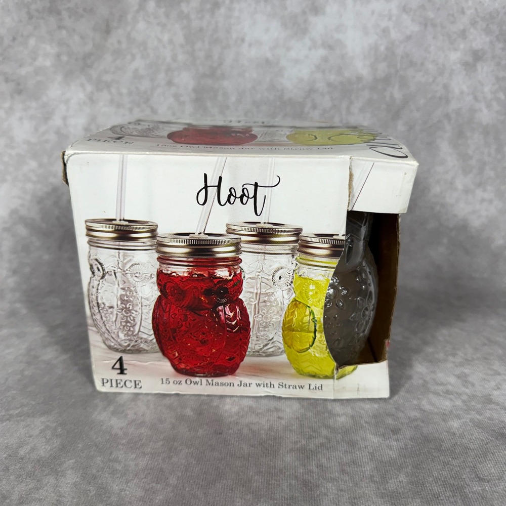 Circleware Hoot Owl Mason Jar Drink Set 15oz Glass Tumbler Lids Straws 4 Pc NEW